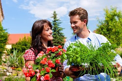 Profitable Garden Maintenance Service in Roehampton